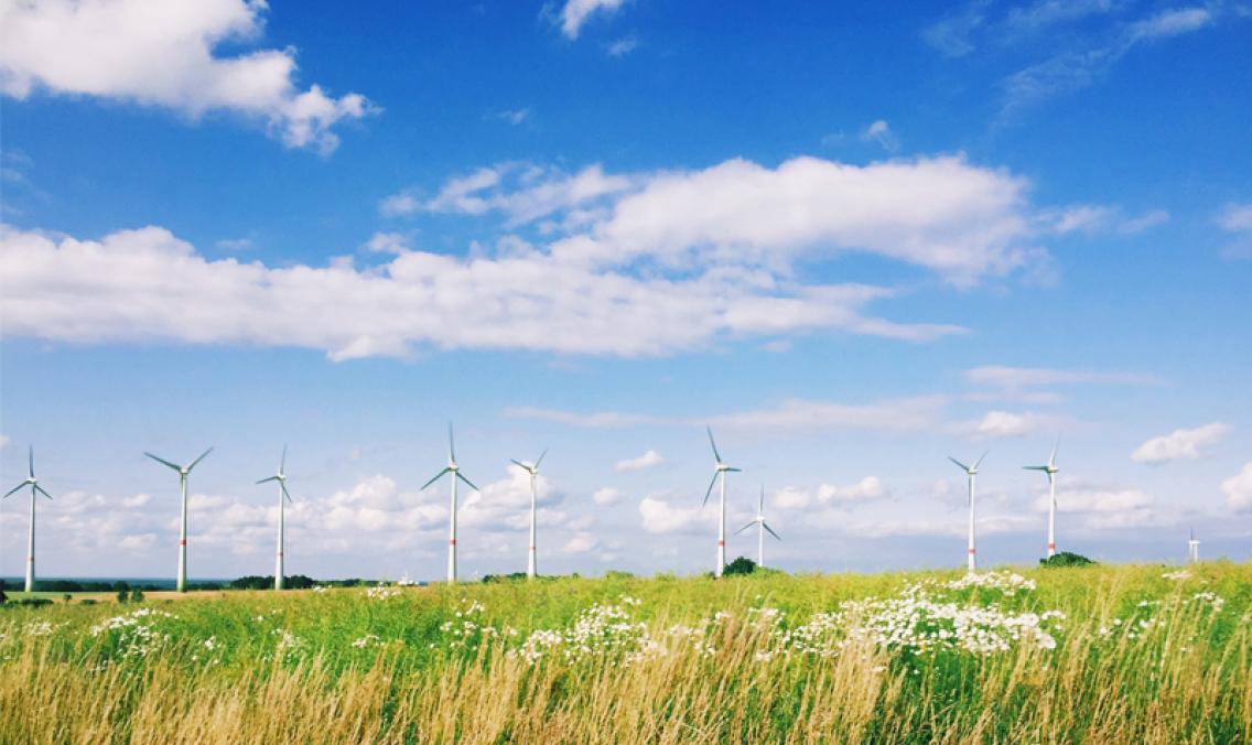 pag-37_is-observatorio-2024