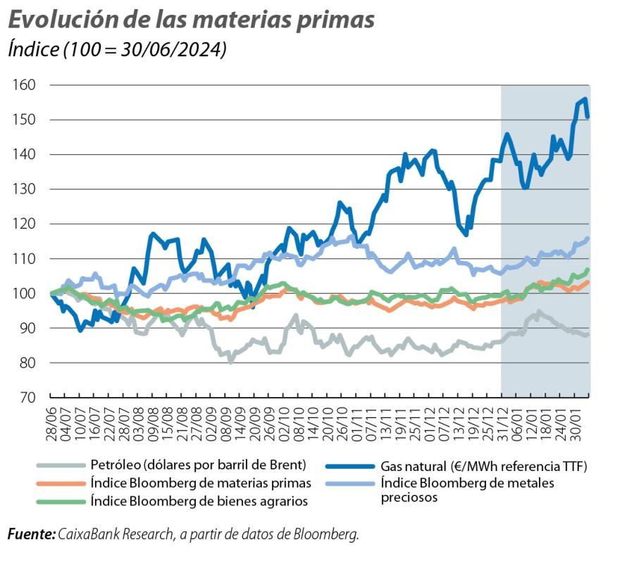 Evolución de las materias primas
