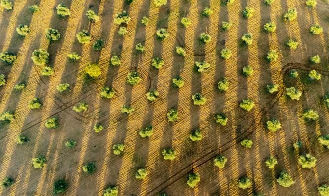 pag-index1_is-agro-2024