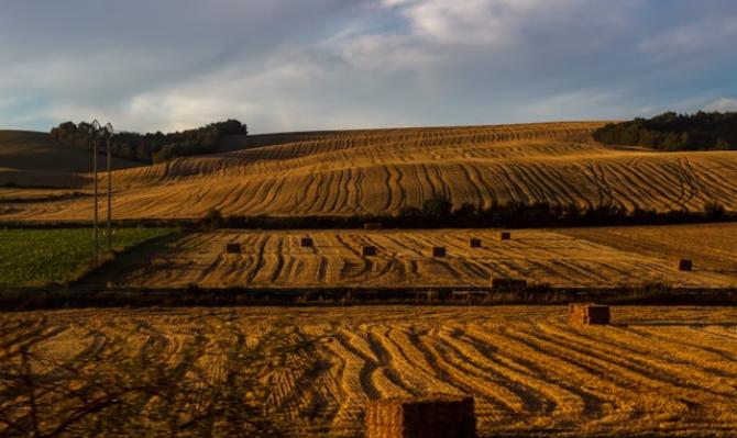 Campo de trigo segado. Photo by Michael Lechner on Unsplash
