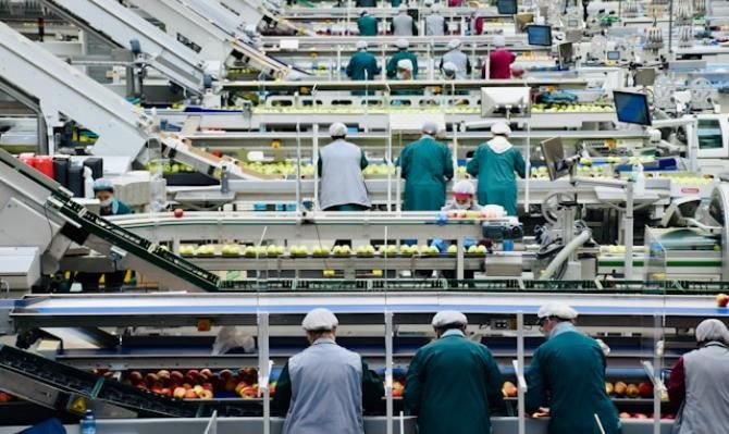 Trabajadores colocando fruta en cajas en un almacén. Photo by Arno Senoner on Unsplash