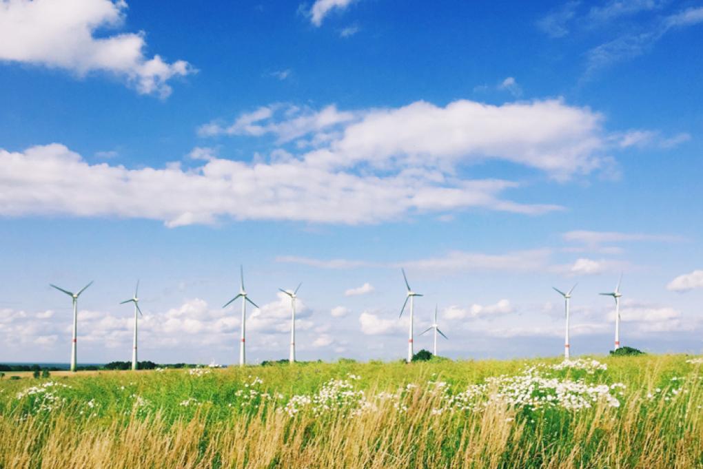 pag-37_is-observatorio-2024