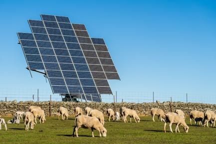 pag-3_is-observatorio-2024