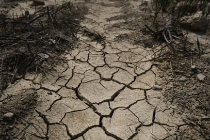 Camino de barro. Photo by Engin Akyurt on Unsplash