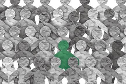 Portada IM09 2025 verd