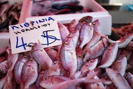 Pescado en una parada de mercado griego con un cartel con el precio para ilustrar el análisis económico de CaixaBank Research sobre inflación en Europa. Photo by Wouter Supardi Salari on Unsplash